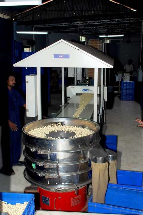 cashew export packing